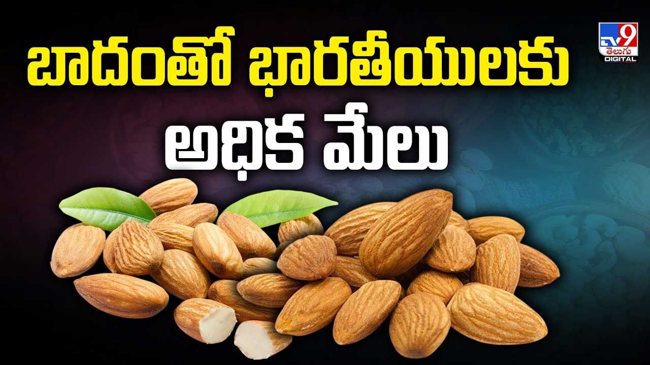 Badam Benefits : బాదంతో భారతీయులకు అధిక మేలు వీడియో