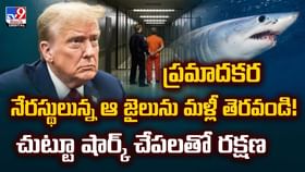 ఆ జైలు చుట్టూ షార్క్ చేపలతో రక్షణ.. ఎందుకంటే వీడియో ఆ జైలు చుట్టూ షార్క్ చేపలతో రక్షణ.. ఎందుకంటే వీడియో