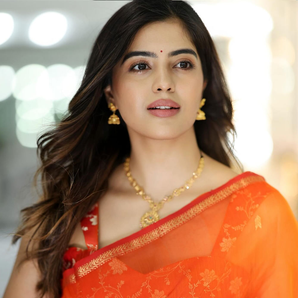 రామ్ పోతినేని హీరోగా నటించిన రెడ్ సినిమా ఆశించిన స్థాయిలో ఆకట్టుకోలేకపోయింది. కానీ ఈ సినిమాలో ఆమె నటనతో మంచి మార్కులు కొట్టేసింది. ఆ తర్వాత వరుసగా సినిమాలు చేసి మెప్పించింది.