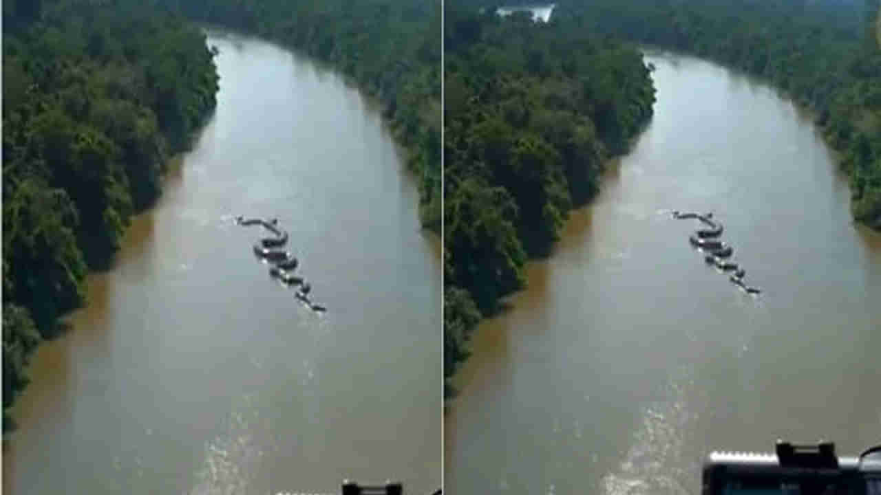 Viral Video: అమెజాన్‌ అడవుల్లో అనకొండ హల్‌చల్‌... అచ్చం హాలీవుడ్‌ సినిమా లెక్కనే..