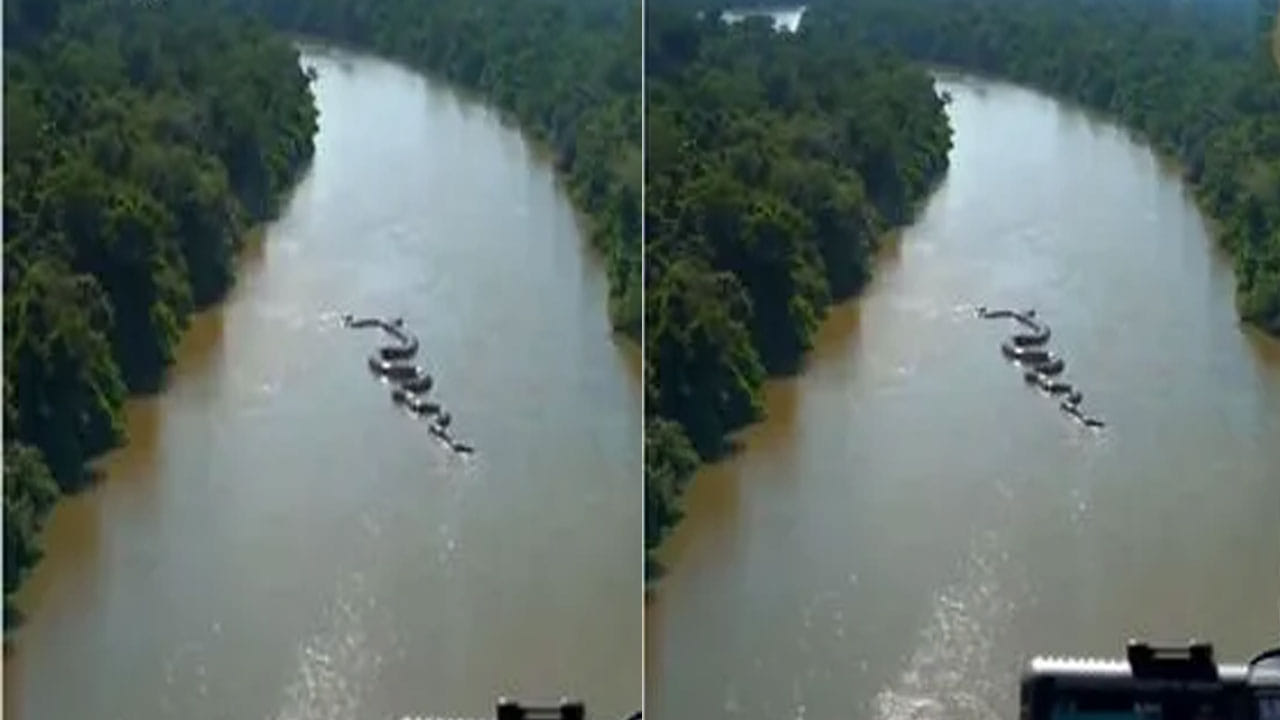 Viral Video: అమెజాన్‌ అడవుల్లో అనకొండ హల్‌చల్‌... అచ్చం హాలీవుడ్‌ సినిమా లెక్కనే..