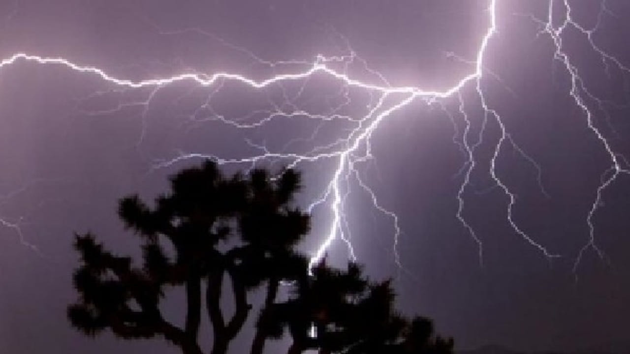 Andhra Weather: ఏపీలో ఉరుములు, మెరుపులతో వర్షాలు.. వెదర్ రిపోర్ట్ ఇక్కడ చూడండి