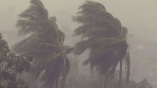 Palnadu: చేపలు పట్టేందుకు అడవి గుండా నది వద్దకు వెళ్లిన దంపతులు.. తిరిగి వద్దామనుకుంటే..