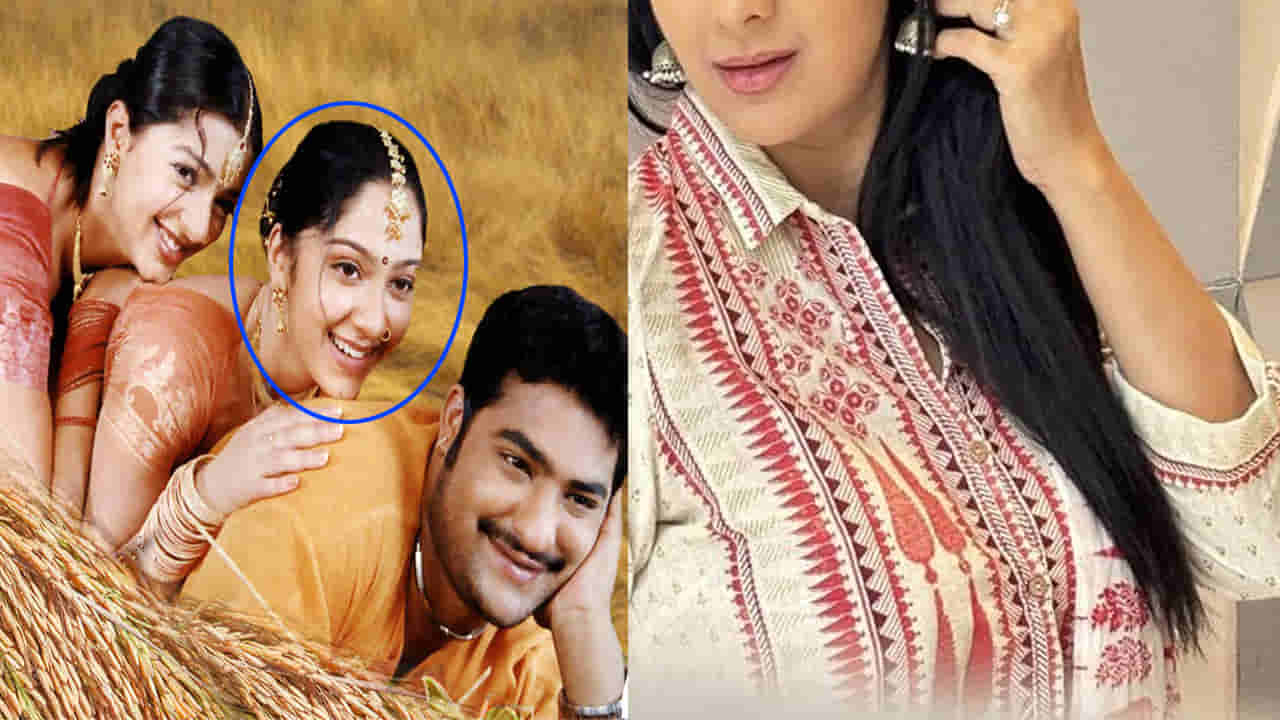 Simhadri Movie: ఆ కారణంతో సినిమాలకు దూరమైన సింహాద్రి హీరోయిన్.. ఇప్పుడేం చేస్తుందంటే..