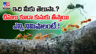 టైటానిక్ సర్వైవర్ రాసిన లేఖకు వేలంలో కళ్లు చెదిరే ధర.. ఎంతంటే ??
