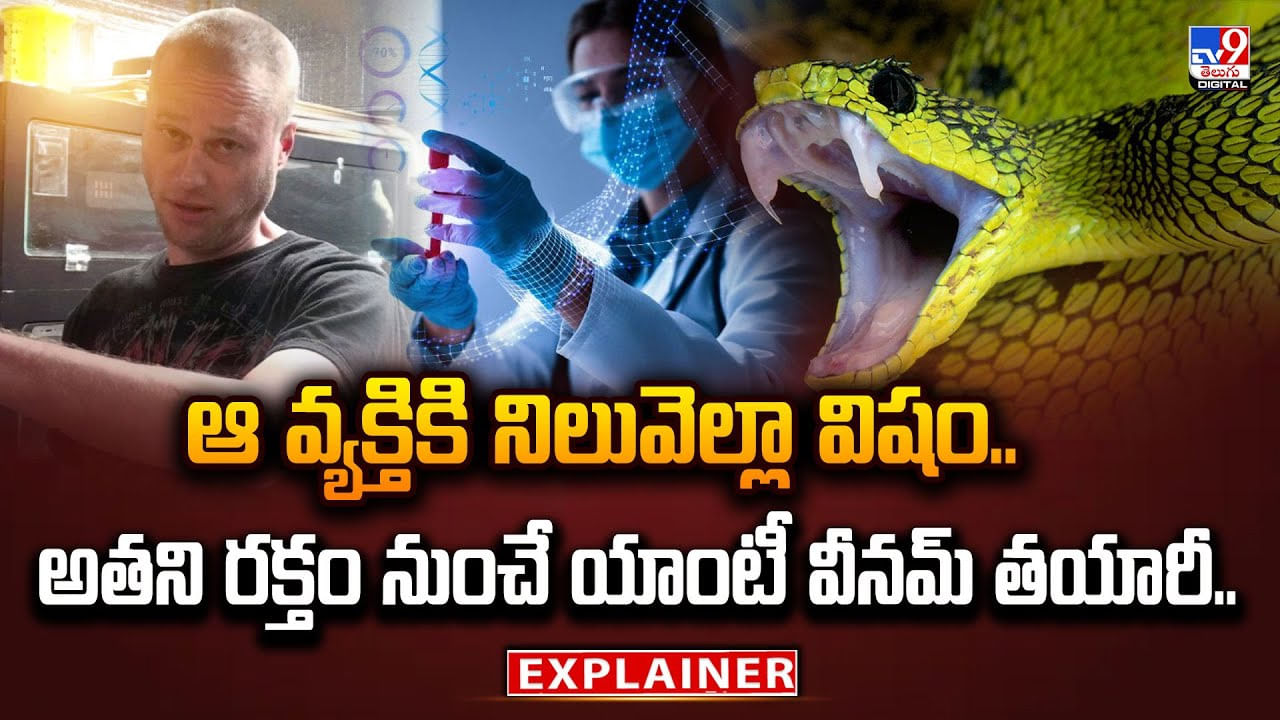 ఆ వ్యక్తికి నిలువెల్లా విషం.. అతని రక్తం నుంచే యాంటీ వీనమ్‌ తయారీ..