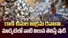 రాణి చీమల అక్రమ రవాణా.. మార్కెట్ లో వాటి విలువ తెలిస్తే షాక్ రాణి చీమల అక్రమ రవాణా.. మార్కెట్ లో వాటి విలువ తెలిస్తే షాక్