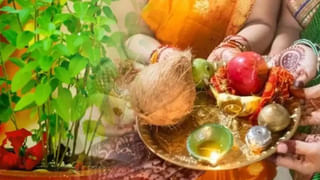 Garuda Puran: గరుడ పురాణంలో ఆత్మహత్య చేసుకున్న జీవికి వేసే శిక్షలు తెలిస్తే.. సూసైడ్ అన్న మాటే తలవరు