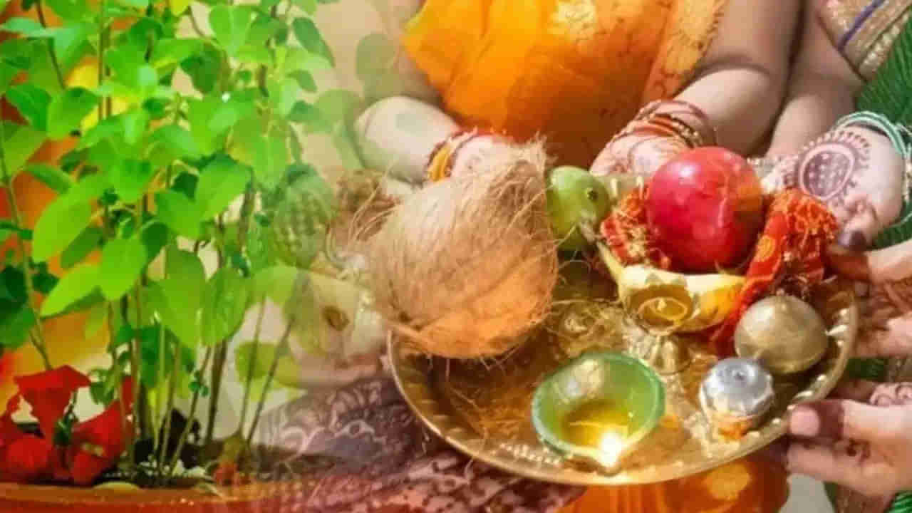 Apara Ekadashi: అపర ఏకాదశి రోజున లక్ష్మి దేవి అనుగ్రహం కోసం తులసిని ఇలా పూజించండి..