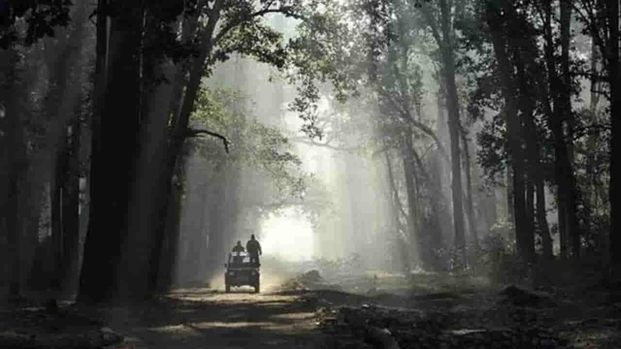 APPSC FRO Exam 2025: ఏపీపీఎస్సీ ఫారెస్ట్‌ రేంజ్‌ ఆఫీసర్‌ రాత పరీక్ష తేదీలివే.. వెబ్‌సైట్‌లో హాల్‌టికెట్లు!