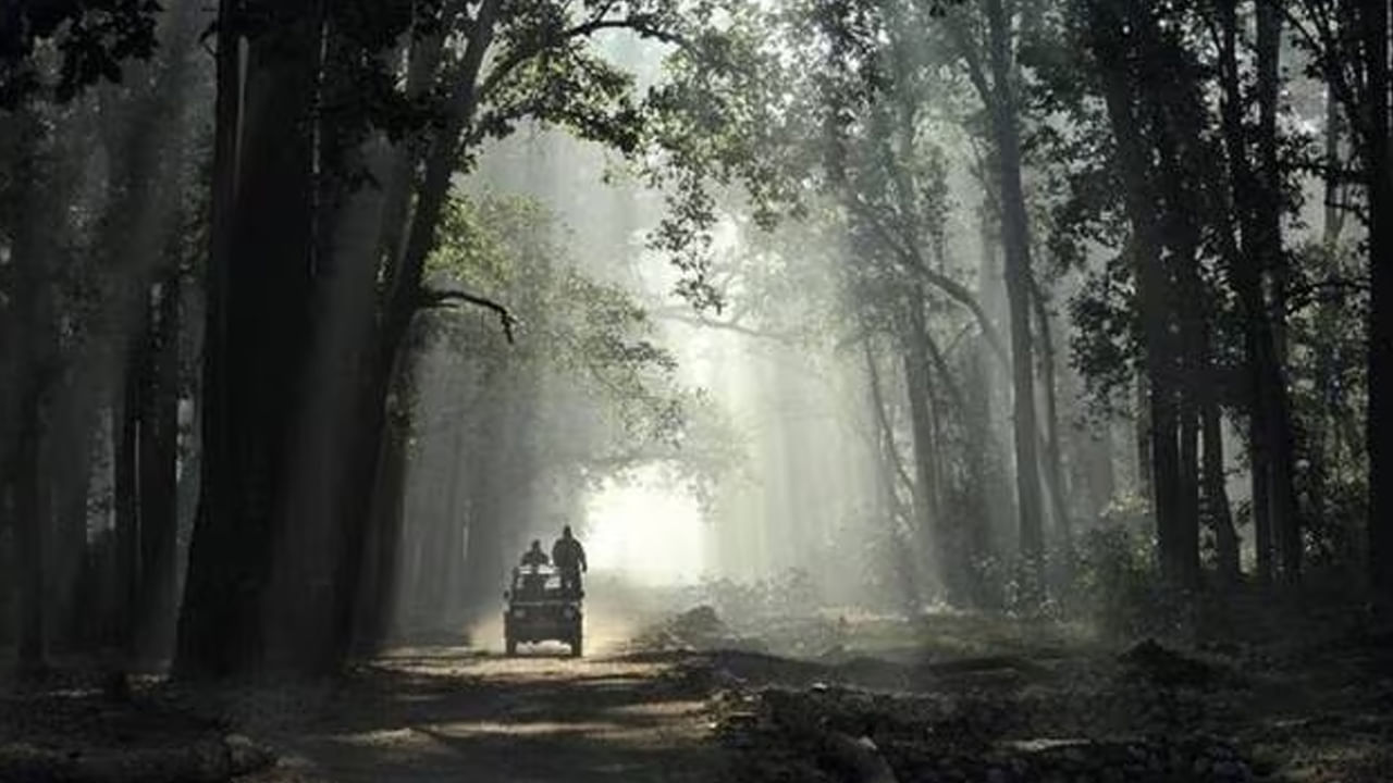 APPSC FRO Exam 2025: ఏపీపీఎస్సీ ఫారెస్ట్‌ రేంజ్‌ ఆఫీసర్‌ రాత పరీక్ష తేదీలివే.. వెబ్‌సైట్‌లో హాల్‌టికెట్లు!