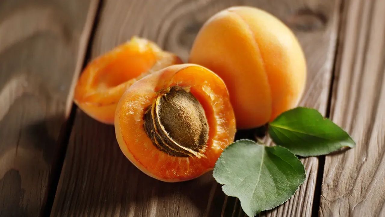 Apricot