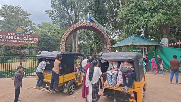 Watch Video: ఓర్నాయనో.. అరకులో భయంతో పరుగులు తీసిన పర్యాటకులు.. ఎందుకో తెలుసా..?