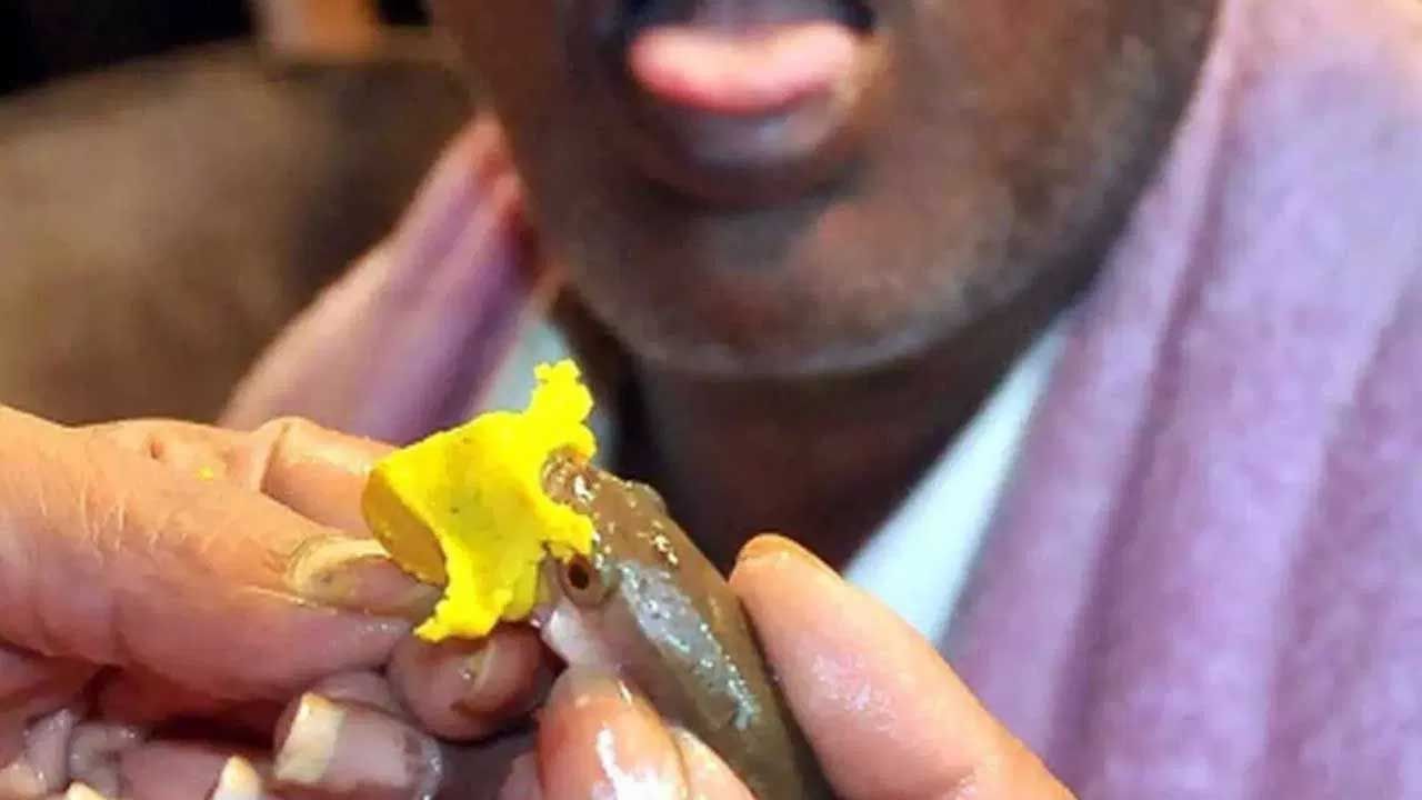 అయితే హైదరాబాద్‌లో బత్తిని గౌడ్ కుటుంబం ప్రతి సంవత్సరం  ఆస్తమా, ఉబ్బసం, దగ్గు, దమ్ము సమస్యలతో బాధపడే వారికి చేప మందు ప్రసాదం పంపిణీ చేస్తున్నారు. ఈ సంవత్సరం కూడా జూన్ 8న ఆదివారం రోజున చేప మందు ప్రసాదం పంపిణీ చేయనున్నారు.కాగా దీనికి సంబంధించిన ఏర్పాట్లు కూడా జరుగుతున్నట్లు సమాచారం.