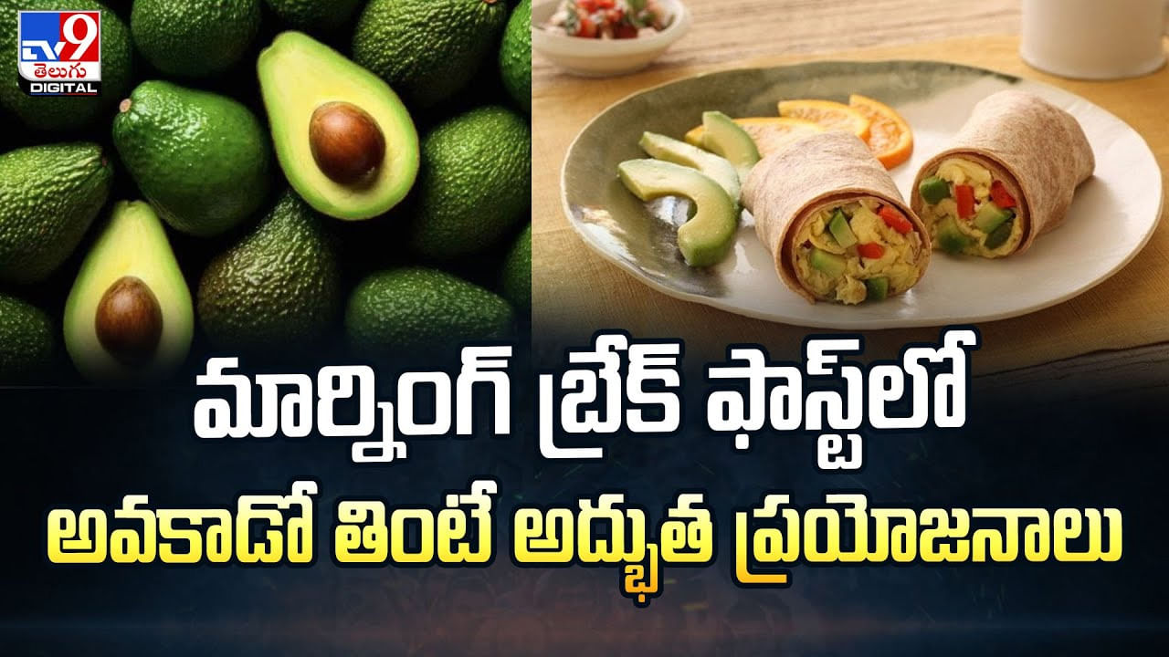 Avocado: మార్నింగ్ బ్రేక్ ఫాస్ట్‌లో అవకాడో తింటే అద్భుత ప్రయోజనాలు