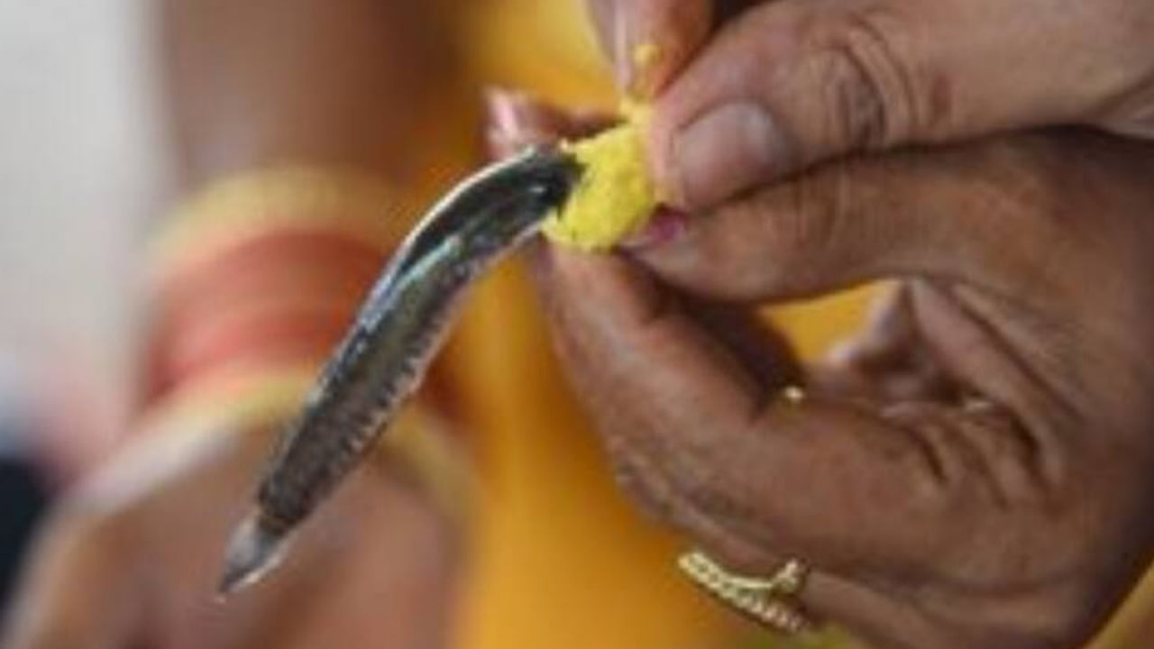 Fish Prasadam: జూన్ 8న చేప ప్రసాదం పంపిణీ.. బత్తిన సోదరుల చేప ప్రసాదానికి  185 ఏళ్ల చరిత్ర - Telugu News | Battina Brothers Fish Prasad: Hyderabad's  Annual Religious Event and Logistics | TV9 Telugu