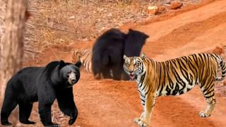 Telangana: ఇది ప్రజెంట్ సొసైటీ.. అప్పు తీర్చలేదని సొంత చెల్లె ఇంటికి తాళం వేసిన అన్న..