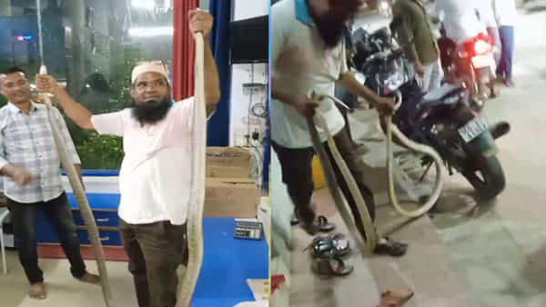 Viral Video: షాపు తెరిచి లోపలికి వెళ్లగానే వింత శబ్ధాలు.. ఏంటా అని చూసిన ఓనర్కి షాకింగ్ సీన్..!