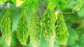 చదివింది మర్చిపోతున్నారా..? ఇలా చేస్తే ఈజీగా గుర్తుంటుంది.. టెన్షన్ పడాల్సిన అవసరం లేదు