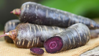 Jamun Benefits: ఈ గింజల పొడి వాడి చూడండి.. షుగర్ కంట్రోల్ లో ఉంటుంది..!