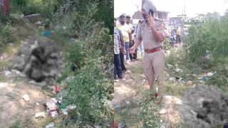 Watch: టైగర్‌ వాటర్‌ఫాల్స్‌ వద్ద విషాదం.. నీళ్లలో ఎంజాయ్‌ చేస్తుండగా కూలిన భారీ వృక్షం..