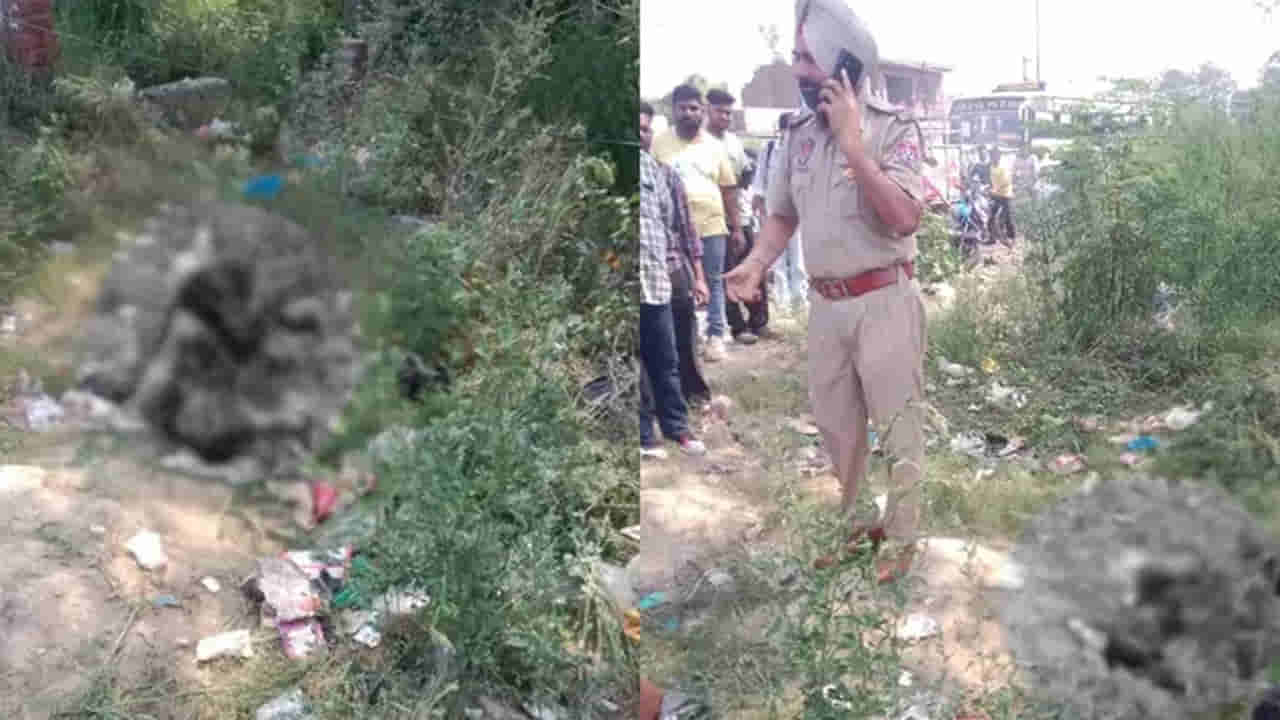 Watch: అమృత్సర్లో బాంబు పేలుడు.. ఒకరి మృతి.. పంజాబ్లో టెన్షన్ టన్షన్..!