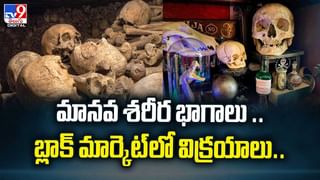 విమానాల కిటికీలు మూసేయండి! ఈ కొత్త రూల్‌ ఎందుకంటే వీడియో