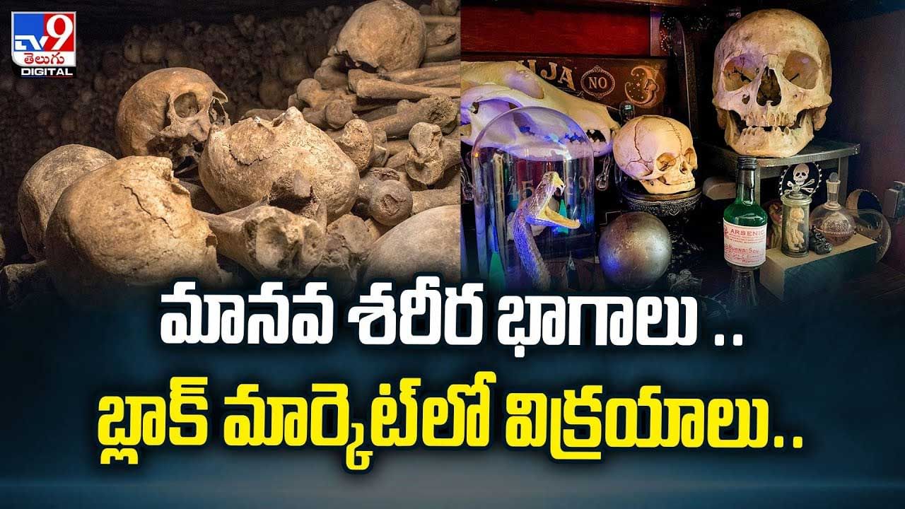 మానవ శరీర భాగాలు .. బ్లాక్‌ మార్కెట్‌లో విక్రయాలు వీడియో