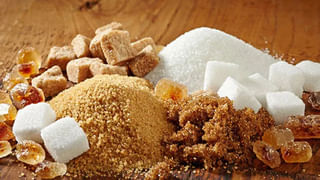 Sugar Free Recipes: డయాబెటిస్ రోగులైనా తినగలిగే ప్రొటీన్ లడ్డూ.. చేయడం ఎంత తేలికో..