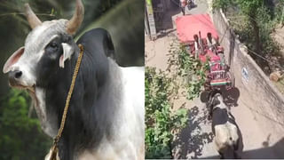 Viral Video: చెత్త ఏరుకునే పిల్లలకు ఊహించని వరం… దిల్‌ అంటే నీదే బాస్‌!