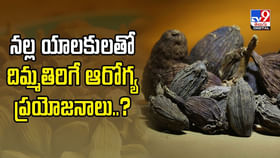 నల్ల యాలకులతో దిమ్మతిరిగే ఆరోగ్య ప్రయోజనాలు..?