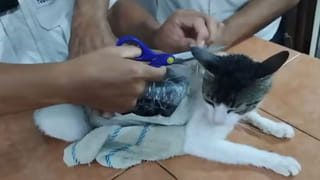 మొబైల్ నెట్‌వర్క్ కట్.. మూగబోయిన ఫోన్లు.. నిలిచిపోయిన అత్యవసర సేవలు!