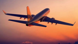 Watch: ప్రపంచంలోనే అతి చిన్న కుక్క, అతిపెద్ద కుక్క కలుసుకున్న వేళ.. ఏం జరిగిందంటే..