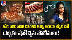 నోరు జారి జింక మాంసం తిన్నానని చెప్పిన నటి.. షాకిచ్చిన పోలీసులు నోరు జారి జింక మాంసం తిన్నానని చెప్పిన నటి.. షాకిచ్చిన పోలీసులు