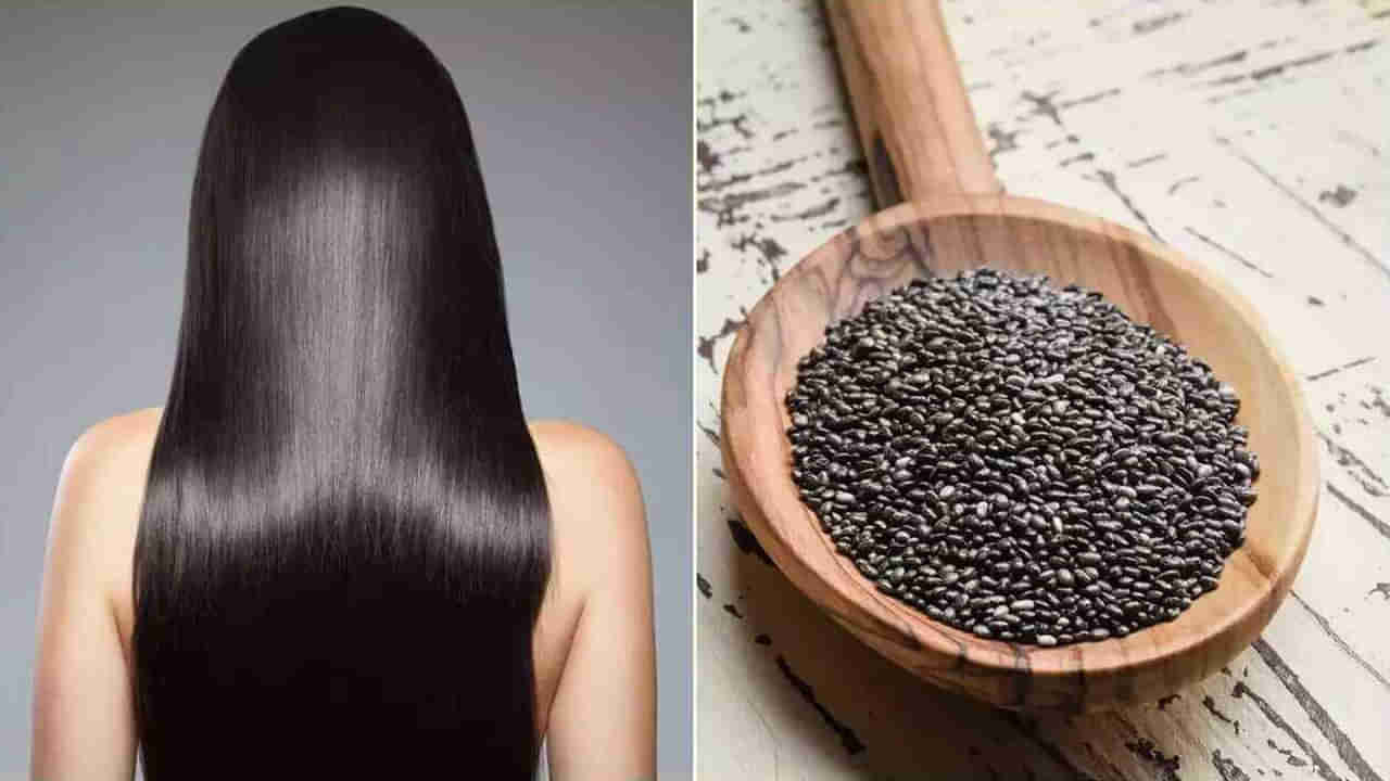 చియా సీడ్స్‌ని ఇలా వాడితే.. ఇక మోకాళ్ల వరకు జారే, పట్టులాంటి జుట్టు మీ సొంతం..!