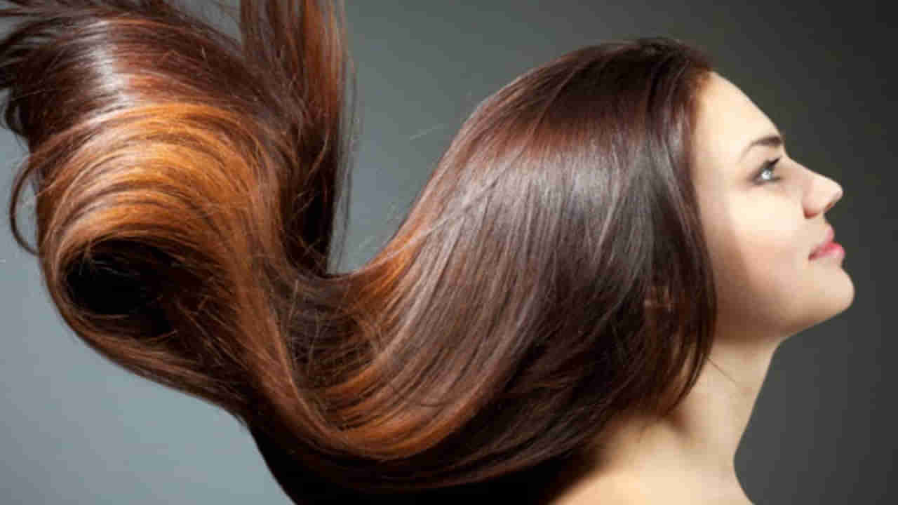 నల్లనాగు లాంటి పొడవైన జడ కోసం చియా సీడ్స్ .. ఇలా వాడితే మ్యాజిక్ లాంటి మార్పు..