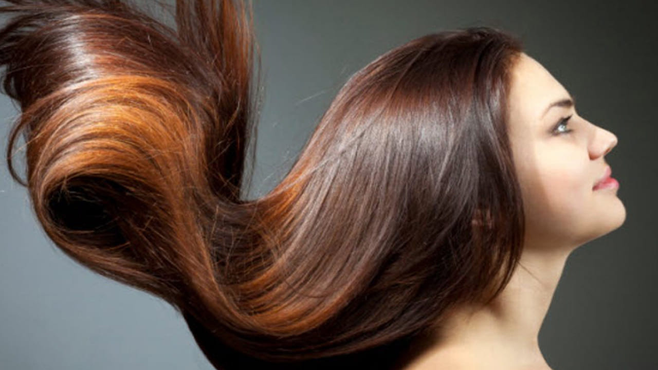 నల్లనాగు లాంటి పొడవైన జడ కోసం చియా సీడ్స్ .. ఇలా వాడితే మ్యాజిక్ లాంటి మార్పు..