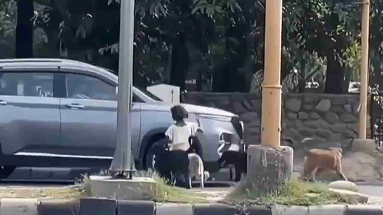 వారెవ్వా.. శునకంపై స్వారీ చేసిన చిన్నారి.. చుట్టూ గుంపుగా వీధి కుక్కల సెక్యూరిటీ..!