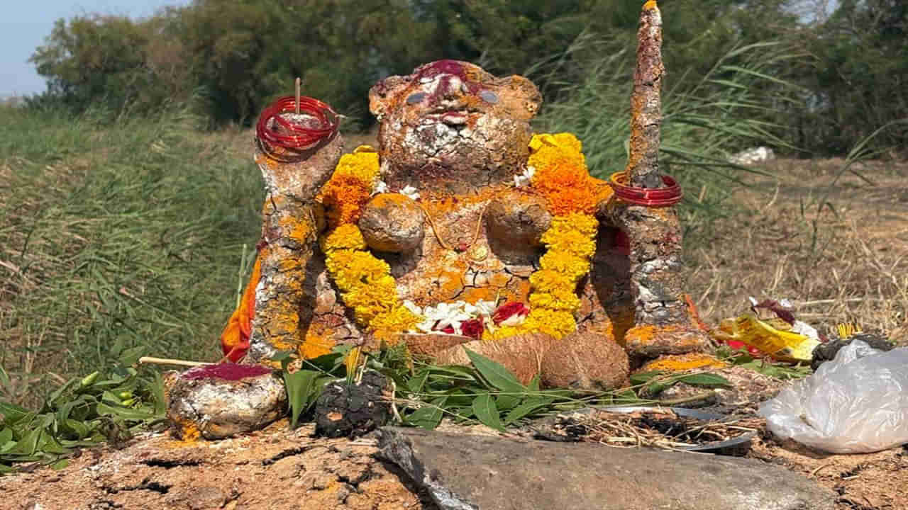 Andhra Pradesh: అక్కడ చెరువు గట్టుపై అమ్మవారి మట్టి బొమ్మని చేసి ఘనంగా పూజలు చేసే రైతులు.. ఎందుకంటే