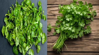 Kitchen Hacks: వేసవిలో పెరుగు తాజాగా ఉండాలంటే.. ఈ సింపుల్ టిప్స్ పాటించి చూడండి..