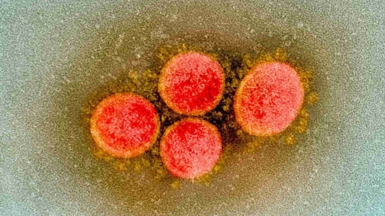 Virus: చావుకబురు చల్లగా.. ముంచుకొస్తున్నమరో ముప్పు.. మరో మహమ్మారి మరింత డేంజర్.!