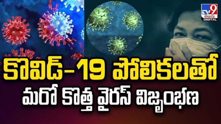 కొవిడ్-19 పోలికలతో మరో కొత్త వైరస్ విజృంభణ వీడియో కొవిడ్-19 పోలికలతో మరో కొత్త వైరస్ విజృంభణ వీడియో