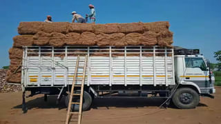 ఎరక్కపోయి ఇరుక్కుపోయిన బెబ్బులి.. టెరిటోరియల్ ఫైట్‌లో టైగర్ ‘బ్రహ్మ’ మృతి!