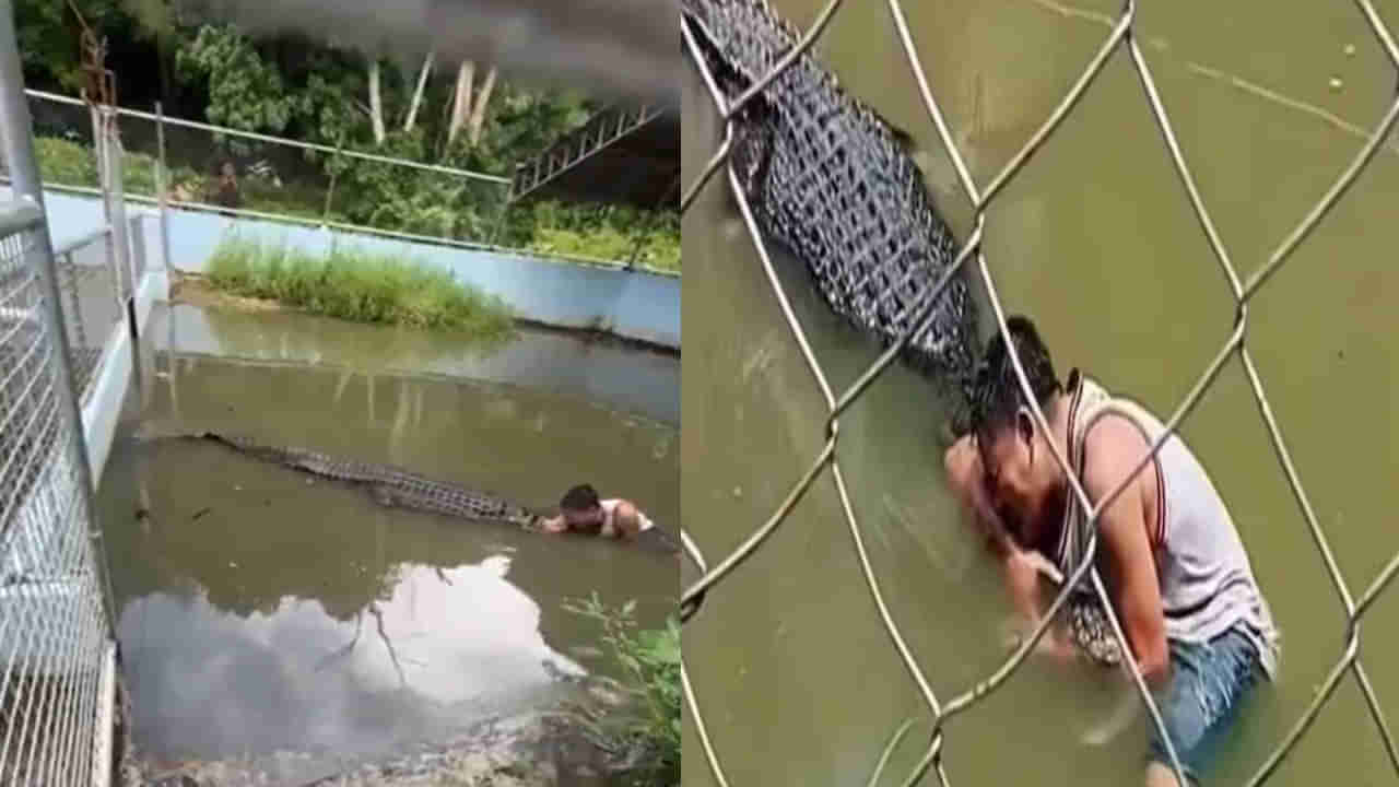 Viral video: బొమ్మే కదా అని సెల్ఫీకి ట్రై చేశాడు.. తీరా దగ్గరికెళ్లి అడ్డంగా బుక్కయ్యాడు!