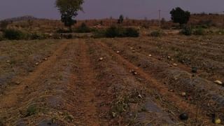 Tirumala: టీటీడీ పాలకమండలి కీలక నిర్ణయాలు ఇవే