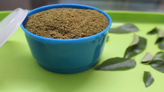 Aloe Vera: జస్ట్ కలబందేగా అనుకునేరు.. ఇది వేసవిలో ఓ వరం లాంటిది.. అమేజింగ్ బెనిఫిట్స్..