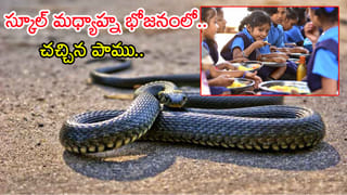 ఎయిర్‌ పోర్ట్‌ రన్‌వేపై కూర్చోని పరీక్ష రాసిన 300 విద్యార్థులు! ఎందుకంటే..?