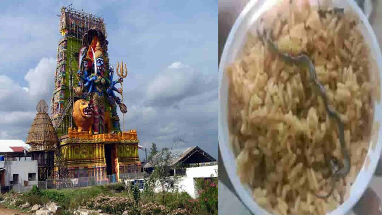 Tamilnadu Temple: అమ్మవారి ప్రసాదం పులిహోరలో చచ్చిన పాము పిల్ల.. షాక్ తిన్న భక్తులు..