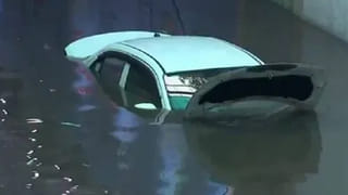 Cardamom: యాలకులు ఎన్ని రకాలు, వాటి ప్రయోజనాలు, దేన్ని ఎలా వాడాలి!