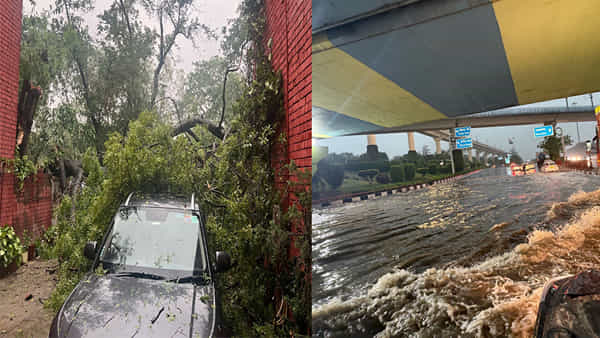 Delhi Rains: ఢిల్లీలో వరుణుడి బీభత్సం.. చెట్టుకూలి ఒకే ఫ్యామిలీకి చెందిన నలుగురు మృతి!